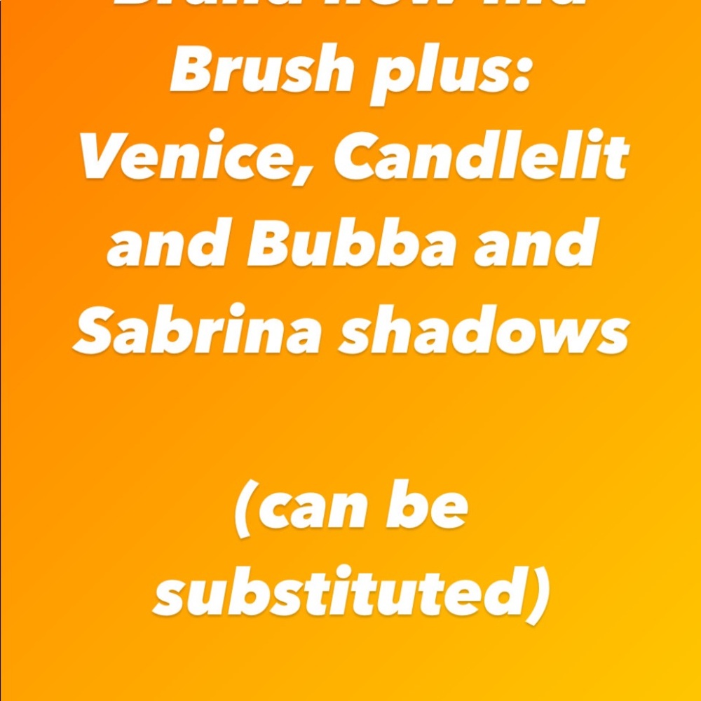 Brand New Seint Bundle not reserved with Eyeshadow Brush and shadows